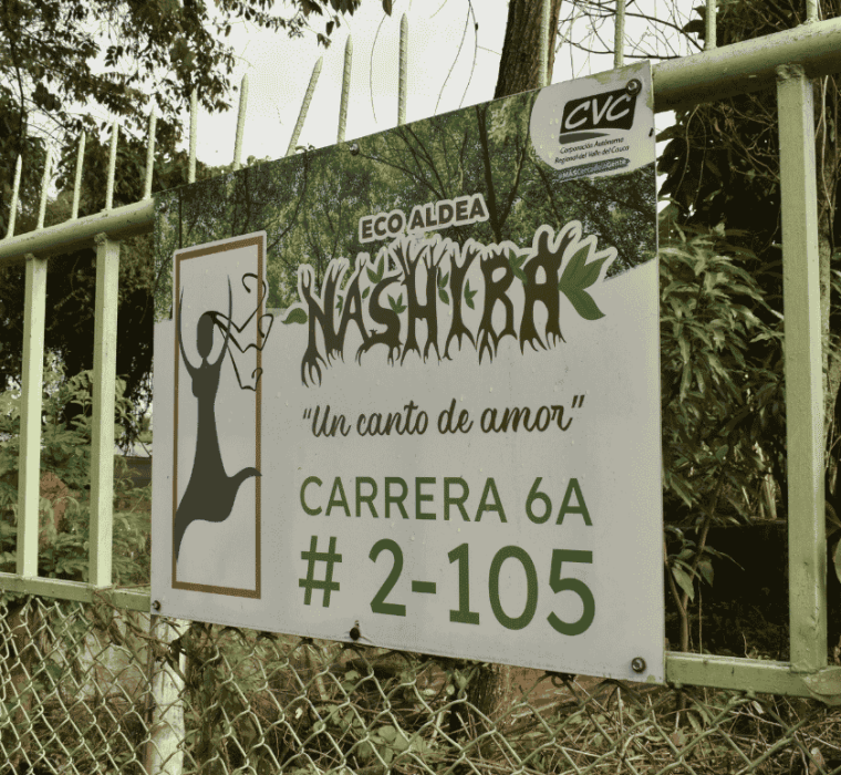 nashira aviso